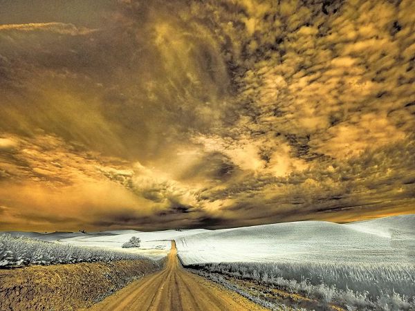 Eggers, Terry 아티스트의 USA-Washington State-Palouse-Backcountry road through wheat field and clouds작품입니다.